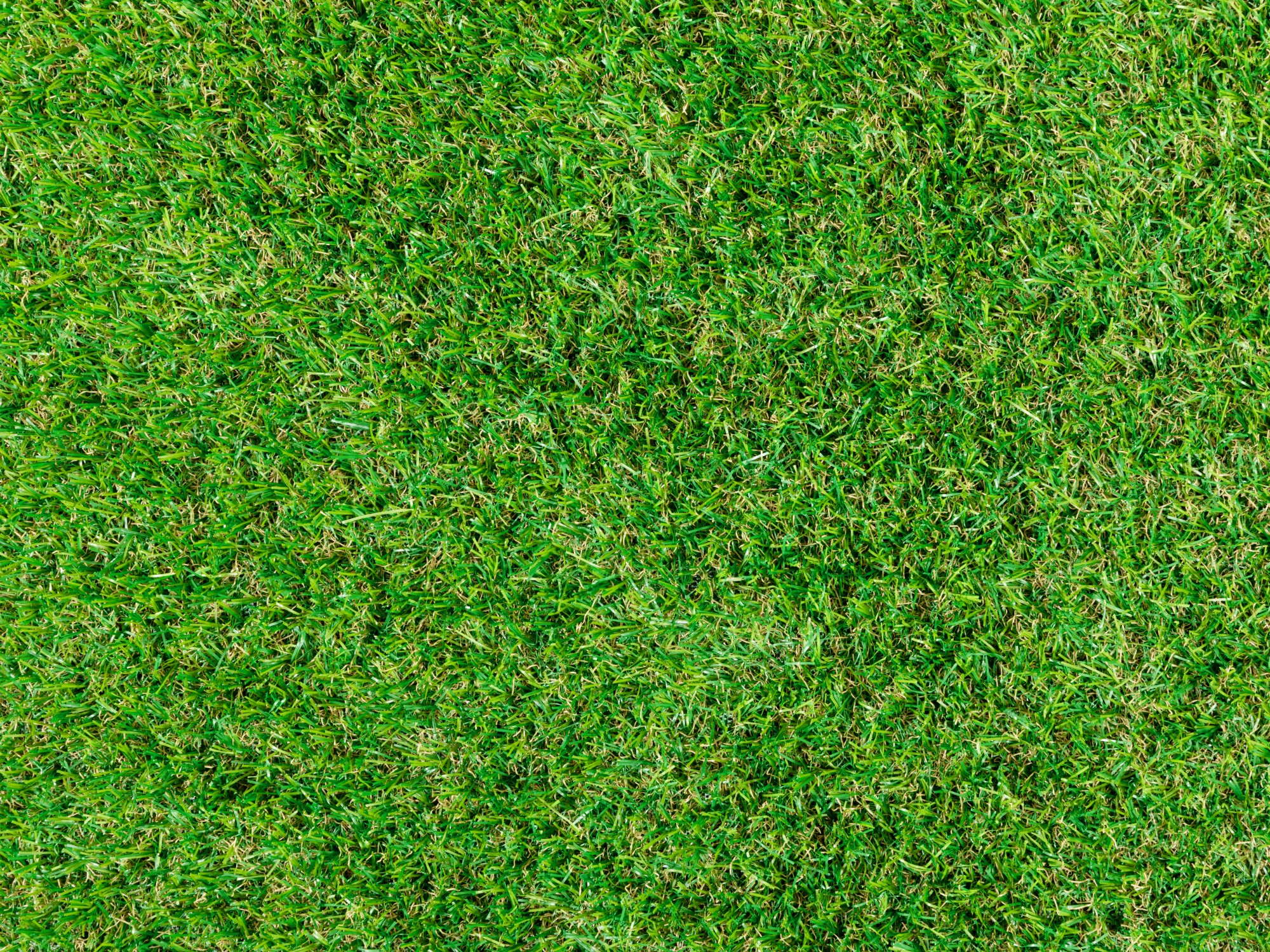 Kunstrasen Teppich Wimbledon